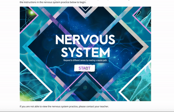 Nervous System Gif